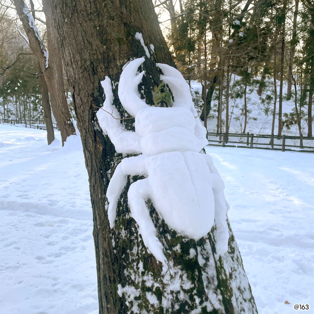 白雪藝術體驗