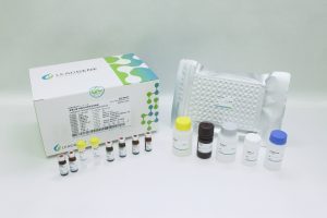 腎病精準檢測利器！「〝偉喬生醫〞硫酸吲哚酚檢測試劑組」再獲國際IVD認證，正式取得新加坡IVD上市許可。（資料來源：偉喬生醫）