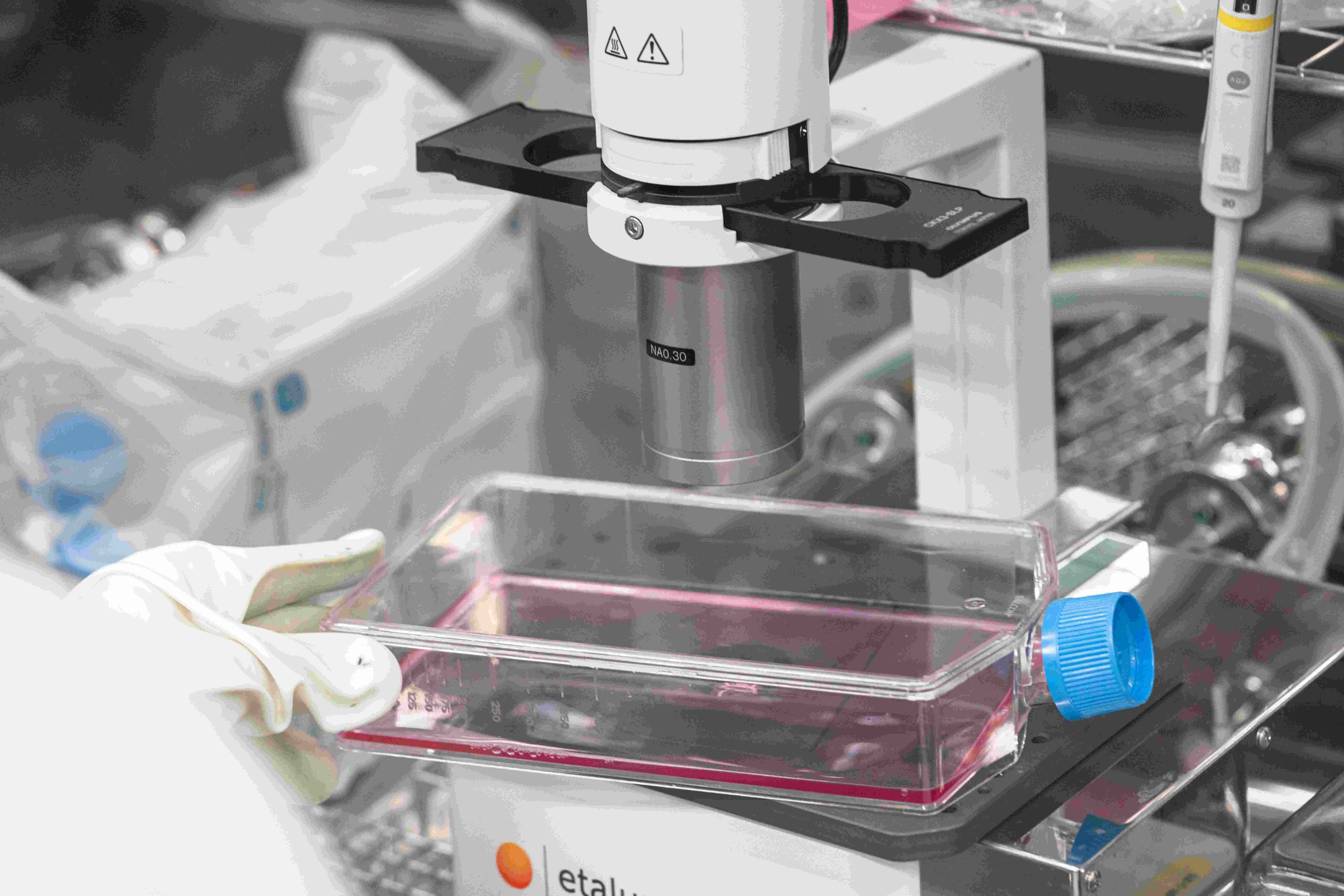 細胞治療「去中心化」成趨勢，生物製劑透過在地化生產，能大幅縮短冷鏈成本與等待時間，為搶救生命爭取存活關鍵。（資料來源：亞家生技）